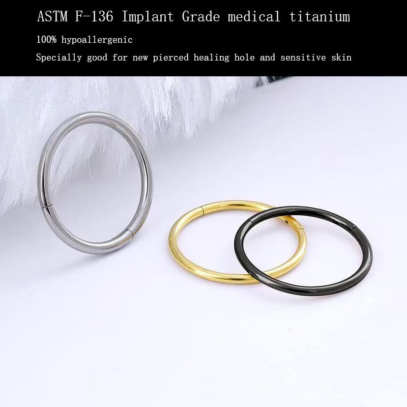 2Pcs Women Men Titanium Nose Rings Hoops 20G 18G 16G Hinged Nose Clicker for Nostril Septum Cartilage Helix Tragus Conch Daith Rook Lip Ear Lobe Piercings Diameter 6mm/7mm/8mm/9mm/10mm/12mm Sliver-Gold-Black-Rose Gold2