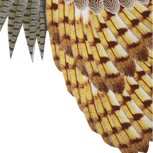 Halloween Owl Costume Set, Comfortable Owl Masque Wing Costume,Fantasy Costumes With Big Wings, Creative Halloween Bird Cosplay Accessories Props For Role Play Performance Carnival Theater Stage Party - Image 6