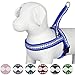 Blueberry Pet 4 Colors Soft & Comfy 3M Reflective Jacquard Padded Dog Harness, Chest Girth 21.5