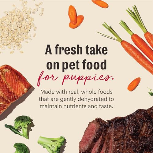 Image of The Honest Kitchen Human Grade Wholemade Whole Grain Beef & Salmon Dehydrated Puppy Dog Food, 7lb Bag (Makes 28lbs)