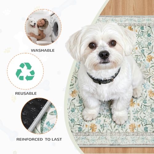 Image of Lahome Botanical Washable Reusable Pee Pads for Dogs, 2 Pack, Beige, 36x36