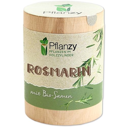 Feel Green Pflanzy Rosmarin, Bio Samen, Nachhaltige Geschenkidee (100% Eco Friendly), Grow Your...