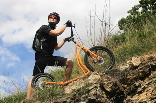YEDOO Mezeq Tretroller - bis 150 kg, mit Luftreifen 20/16 - Scooter für Erwachsene, Offroad Tretroller mit abnehmbarem Ständer und Fußablage und verstellbarem Lenker, Dogscooter mit Scheibenbremse.