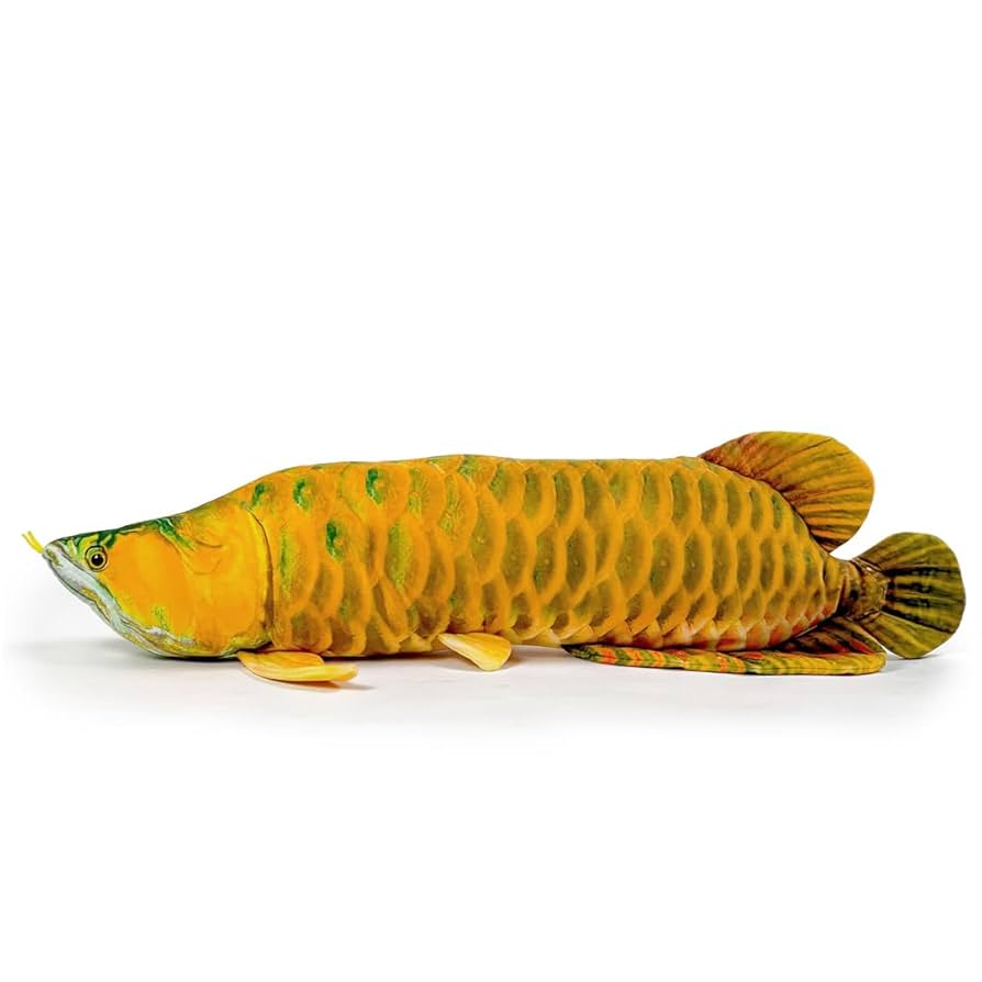 さかな Amazon.co.jp: 太洋産業貿易 SK002 さかなクン監修 おさかな