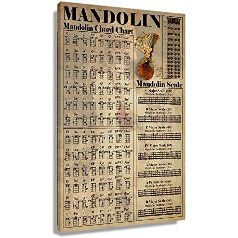 Mandolin Musical Wall Art Knowledge Poster Decorative Vertical Canvas Painting Prints Giclee Artwork Pictures for Bathrooms Decorations for Home Printed Canvas Modern Wall Bedroom Artwork for Office (16x24inch(40x60cm),Unframed) Cover