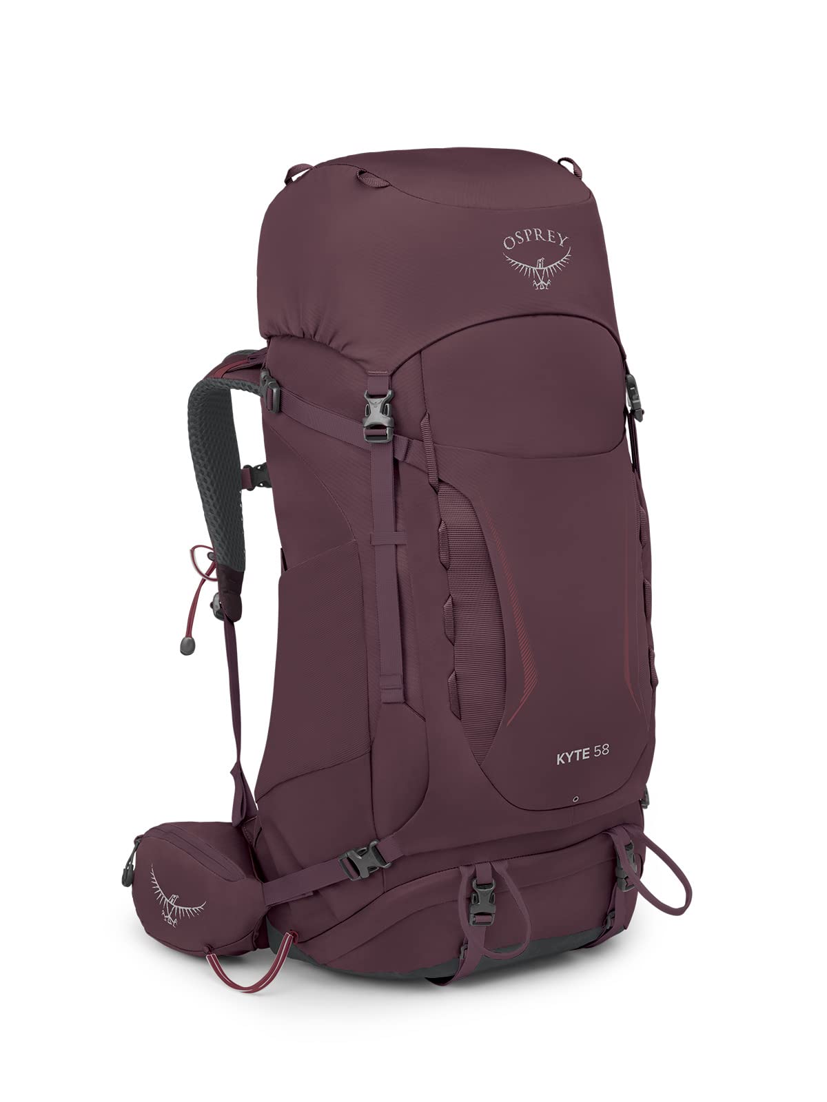 Amazon.co.jp: [Osprey Europe] バックパック。 Kyte 58 レディース 