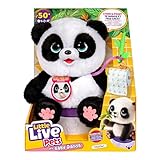 Little Live Pets My Baby Panda ChuChu | Interaktives Haustier mit über 50 Geräuschen & Reaktionen. Strampelt, geht aufs Töpfchen, lacht & mehr. Immer Wieder Spielen. Geschenk für Kinder