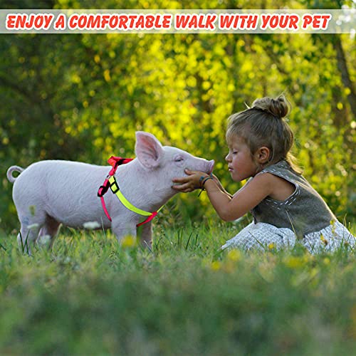Frienda 2 Pieces Adjustable Mini Pig Harness Leash Mini Pig Walking Harness And Leash For Hog Piggy Ferret Rabbit Dog Cat And Other Small Animals Walking Training Jogging #TOP3