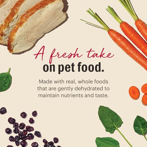 Image of The Honest Kitchen Human Grade Dehydrated Grain Free Dog Food - Complete Meal or Dog Food Topper - Turkey 1.75 oz (Pack of 12)