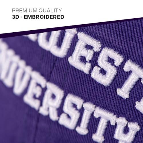 Desert Cactus Northwestern University Gorra Baseball Ajustable miniatura 3