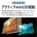 シャープのテレビ 4T-C55DP1