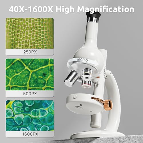 Science Can Microscope for Kids 40X-1600X Beginner Microscopes with 8 Prepared Slides, Educational Science Kits with WF10x & WF20x Eyepieces, STEM Toys for Kids Ages 8-12 - Image 3