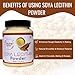 Flavour Drum SOYA Lecithin Powder (7oz / 200g) | Plant-Based Emulsifier for Baking, Chocolates & Cooking