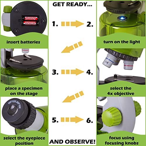 image for Levenhuk LabZZ M101 Lime Microscope, Lime, 69059, Purple