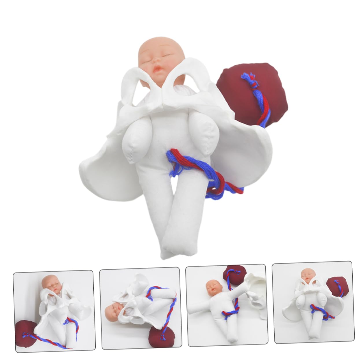 GALPADA Modelo de Pelvis de Parto para Enseñar Anatomía Pélvica Femenina Simulador del Proceso de Parto para Educación Prenatal Herramienta de Demostración para Aula