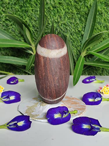 Image of 4 Inch Rudra Narmadeshwar Shiva Linga Banalinga Shiva Lingam for Pooja Small Lingam for Home Worship Puja Articles Lingam for Meditation & Prayer (4 Inch Lingam)