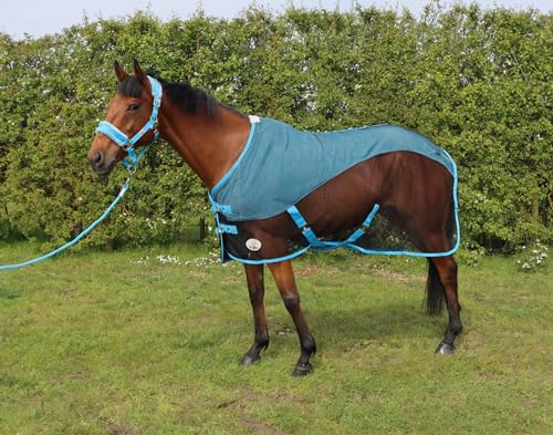 Ruggles Fleece/Mesh Cooler Rug for Horse and Ponies | Ideal for Travel Stable Cooling/drying after Exercise or Bathing - Black/Sky Blue (Black?Sky Blue, 6')