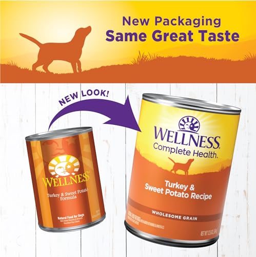 Image of Wellness Complete Health Pate Adult Canned Wet Dog Food, Wholesome Grains, Natural, Turkey and Sweet Potato, 12.5 oz, Pack of 12 Cans