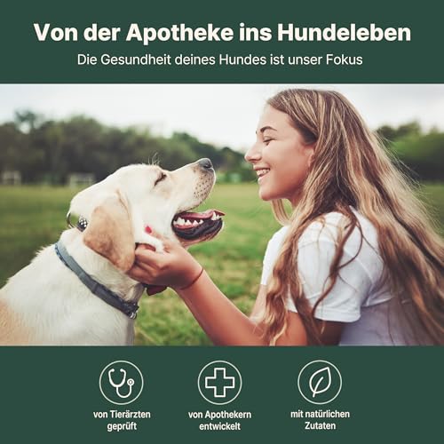 Gelenktabletten Hund, Apotheker Rezeptur, 90 Stück reicht bis zu 6 Monate, von Apothekern entwickelt & Tierärzten geprüft, mit Grünlippmuschel hochdosiert, Glucosamin, MSM, Chondroitin, Teufelskralle