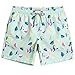 MaaMgic Mens Quick Dry Printed Short Swim Trunks with Mesh Lining Swimwear Bathing Suits