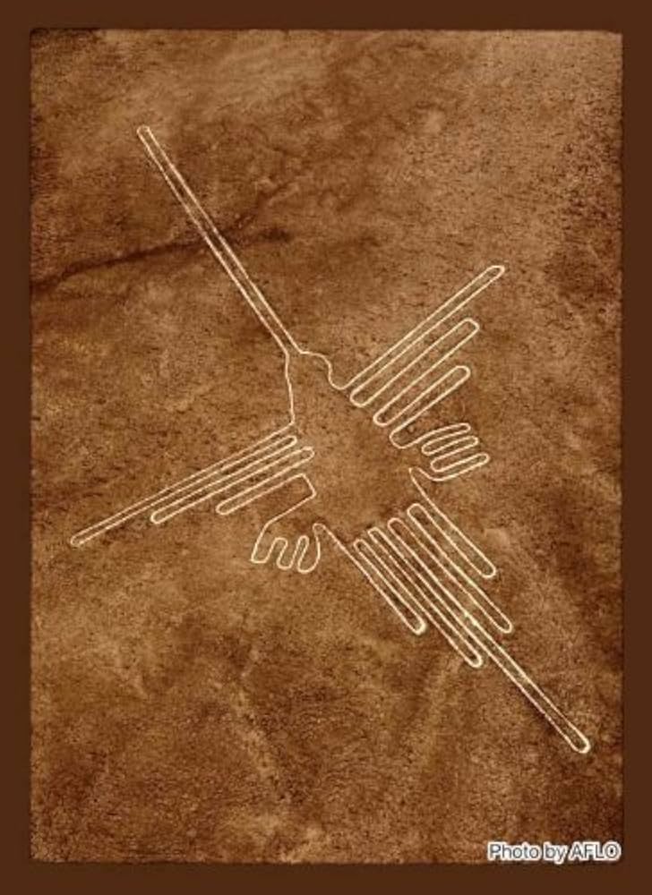 Amazon | ブロッコリー ハイブリッドスリーブ 「ナスカの地上絵