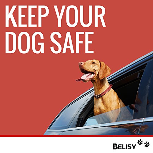 BELISY Hunde Sicherheitsgurt fürs Auto I passend für alle Hunderassen I Rot