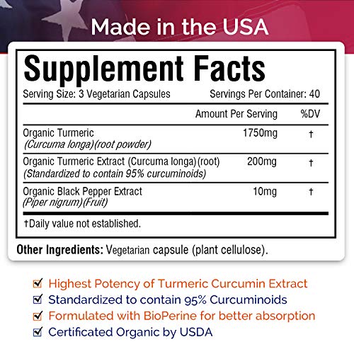 Organic Turmeric Curcumin with BioPerine, 95% Standardized Curcuminoids, 1960mg per Serving, 120 Veggie Caps, Non-GMO,Gluten Dairy & Soy Free, Anti-Inflammatory,Pain Relief & Joint Support