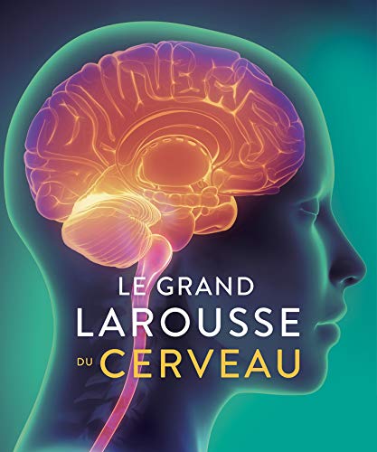 Télécharger Le Grand Larousse du cerveau Livre PDF Gratuit