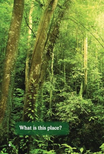 Step into the Rainforest