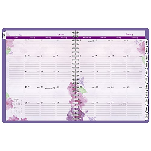 At-A-Glance Weekly / Monthly Appointment Book / Planner 2016, Beautiful Day, 8.5 X 11 Inches, Lavender (938P-905) #TOP3