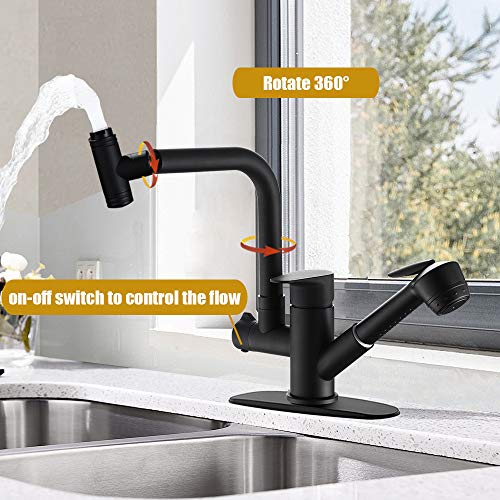 Hoimpro Pull Down Kitchen Faucet, High-Arc Single Handle Rv Kitchen Sink Faucet with Pull Out Sprayer and 360 Degree Swivel Sprayer , 2 Spout Utility Water Faucet, Brass/Matte Black (1 & 3 Hole)