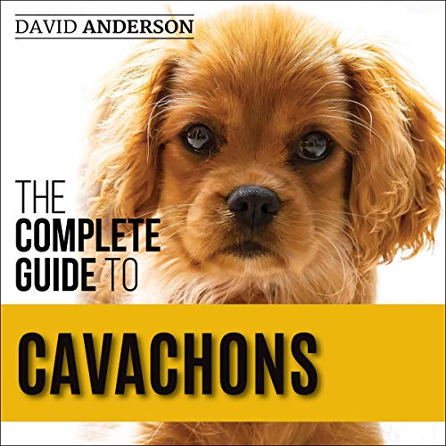 The Complete Guide to Cavachons Choosing, Training, Teaching, Feeding