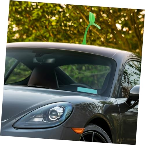 Autocollant pousse pour masquer rayure de capot auto