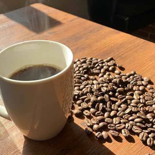 コーヒー豆 3ヶ月 定期便 100g×3 [いち日のはじまり 福岡県 筑紫野市 21761469]