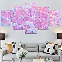 SIGNWIN 5 Panel Canvas Wall Art Abstract Colorful Decorative Elements Modern Artwork for Home Decorations Ready to Hang - 60