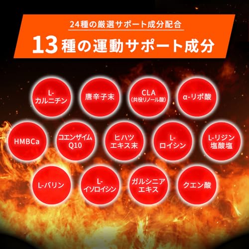 武内製薬 THE PROTEIN ザプロ カルニチン CLAサプリ