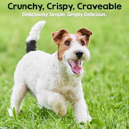 Image of Riley's Slims Chicken Sticks for Dogs - Natural USA Sourced Dehydrated Chicken Jerky Treats, Made in The USA - 2 Pack