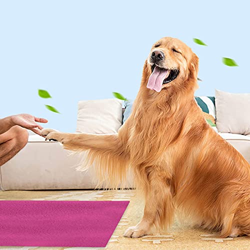 Image of Trance Waterproof Pet Training Pads | Reusable Pee Pad for Dogs Cats Puppy and Pets | Washable Pet Dry Sheet | Potty Trainer | Soft and Hypo-Allergenic (Large, Size 1.4 x 1 m | 140 x 100 Cms, Berry Pink)