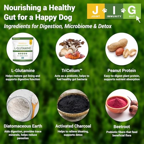 Image of MariGold JIG for Dogs - Joint, Immunity, Gut Support & Collagen for Dogs - Non-GMO, Organic Peanuts, Organic Hemp, Grain and Soy Free - 1.19 LBS (Medium)