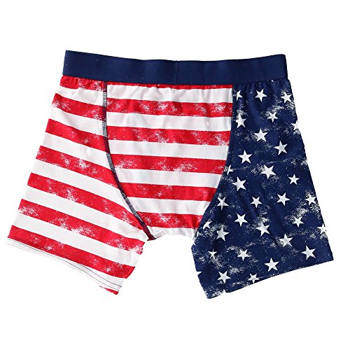 Bioworld United States of America Distressed Flag Boxer Briefs2