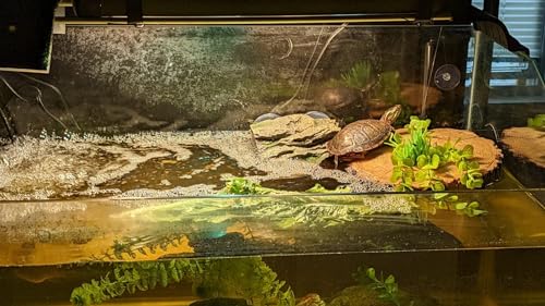 Image of AQUA KT Aquatic Turtle Tree Trunk Round Freestanding Floating Dock Island Climbing Basking Platform Large Non Slip with Suction Cup, for Pond and Amphibian Reptile Terrarium Habitat