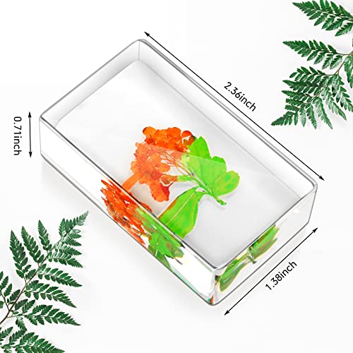 Fabbay FM-FABBAY-1395 9 Pieces Large Pressed Flower Paperweight Flower In Resin Specimen Collection, Desk Resin Paperweights Kids Square Paperweight Cube Science Educational Toy Desk Decoration thumb #4
