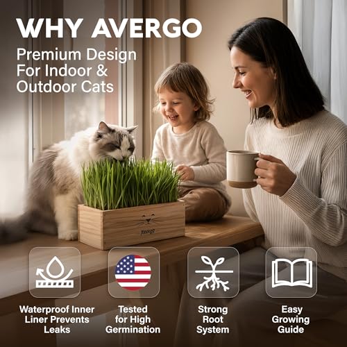 Image of Cat Grass Kit for Indoor Cats - x4 Seed Packets | Cat Grass Seeds with Wooden Planter, Soil & Mini Gardening Tools for Nipping & Nibbling - Pet Wheatgrass Grass