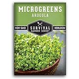 Arugula Microgreen Seeds for Sprouting - Non-GMO Heirloom Rocket Seeds for Fast-Growing Peppery Microgreens - Indoors & Hydroponic - Fast 7–10 Day Harvest - Survival Garden Seeds (1 Pack)