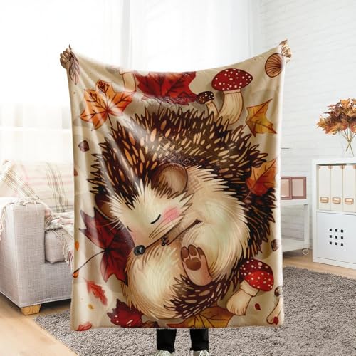 ѕz VO ӂӂ uPbg blanket for winter G| ͂˂ݕ ~ Ƃӂ blanket for all season Ђ| ~p  Ódh~ y ΍ Ȃ߂炩 lGKp
