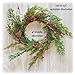 Loving Memories Small Wreath Mini Wreath Realistic Cedar with Pine Cones 12 Inch Indoor Candle Ring