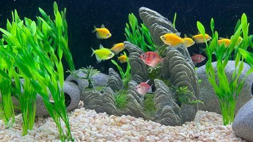 BEGONDIS 15 Pcs Aquarium Ornament Rock Cave Landscape, Green Seaweed Plastic Aquarium Ornament Aquatic Decoration Fish Tank Marine Decor Ornaments (Hill)