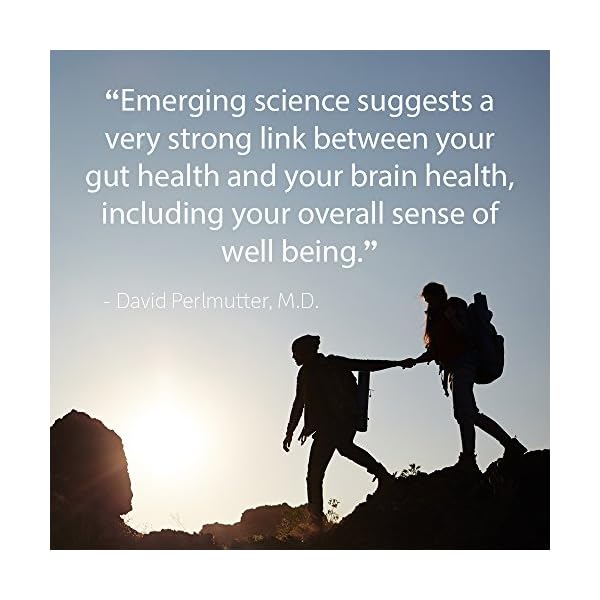 Garden of Life Dr. Formulated Probiotics Mood+ Acidophilus Probiotic Supplement - Promotes Emotional Well-Being, Relaxation and Digestive Balance - Ashwagandha for Stress Management, 60 Veggie Caps