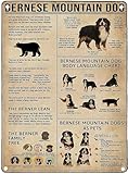 Bernese Mountain Dog Knowledge Aluminum Metal Signs Pet Poster Decor Sign Unique Gift Pet Shop Cafe Bar Bedroom Bathroom Kitchen Home Art Wall Decoration es 8'x12'