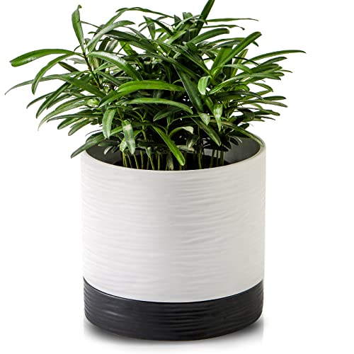 Nihow Maceta de cerámica: maceta de 6 pulgadas con agujero de drenaje y platillo para plantas de interior y exterior, maceta redonda cilíndrica para suculentas/hierbas/violetas, color blanco y negro